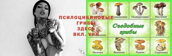 apvp Иннополис