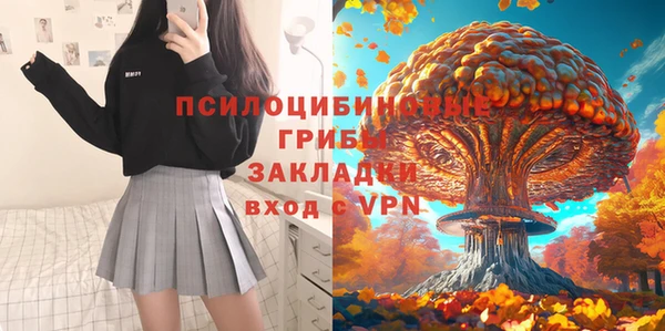 apvp Иннополис