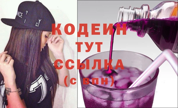 apvp Иннополис