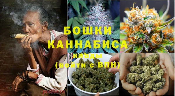 apvp Иннополис