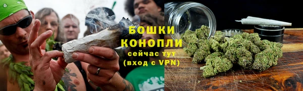 apvp Иннополис