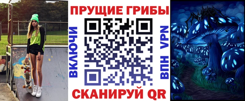 Купить где Курлово Псилоцибиновые грибы мицелий